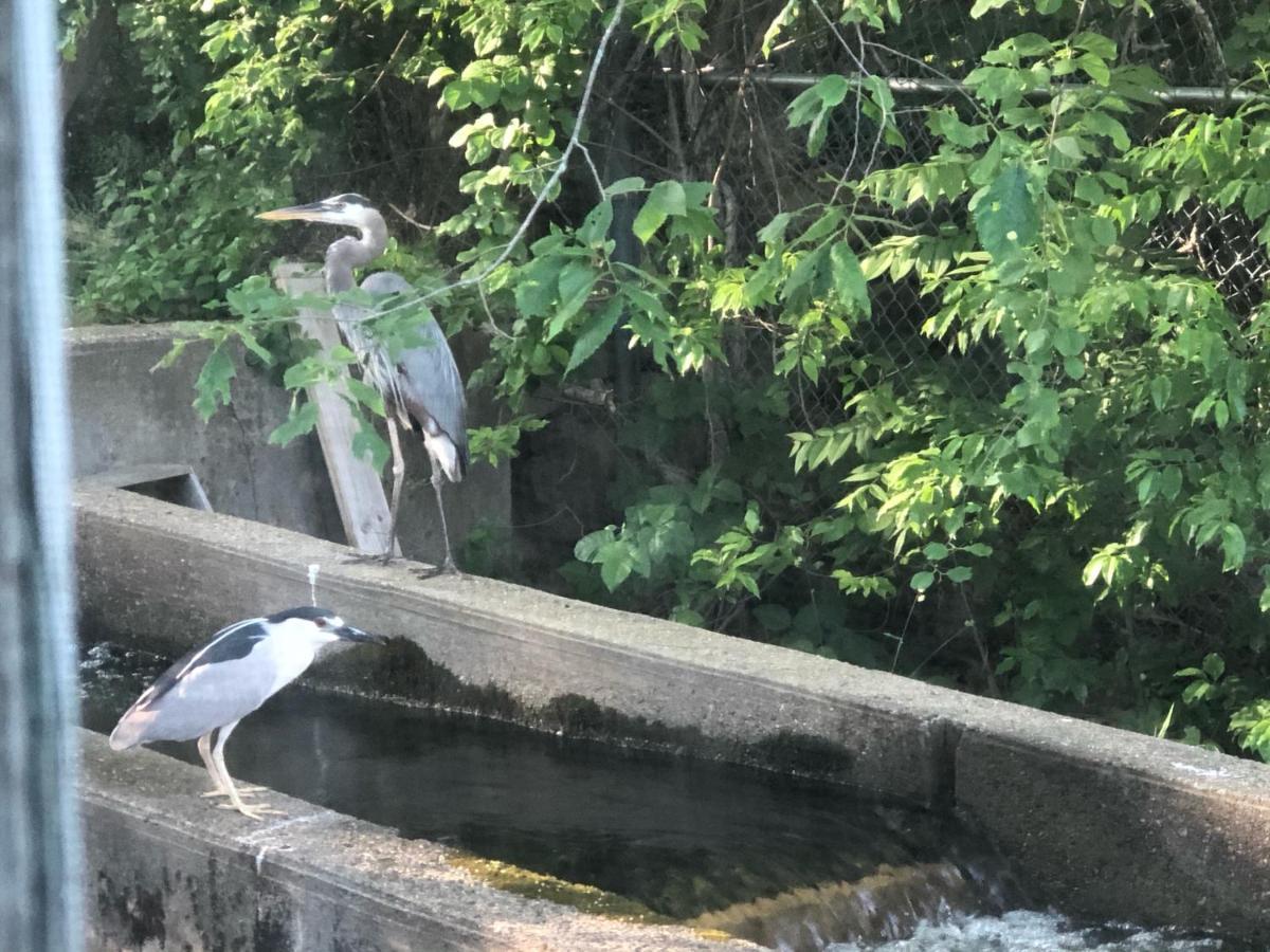 Herring Run 伯恩 外观 照片