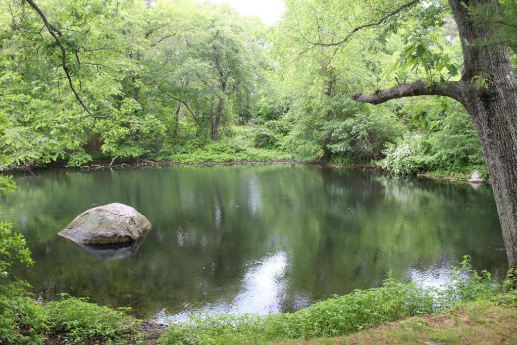 Herring Run 伯恩 外观 照片