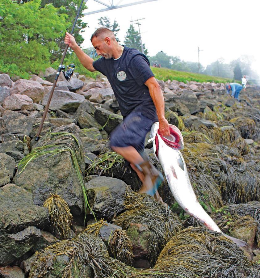 Herring Run 伯恩 外观 照片