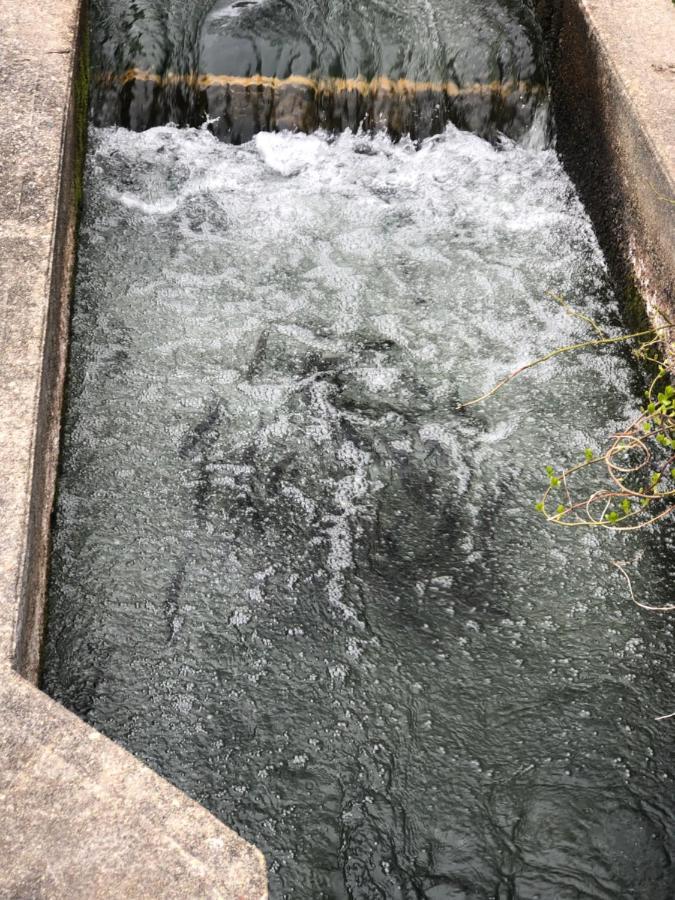 Herring Run 伯恩 外观 照片